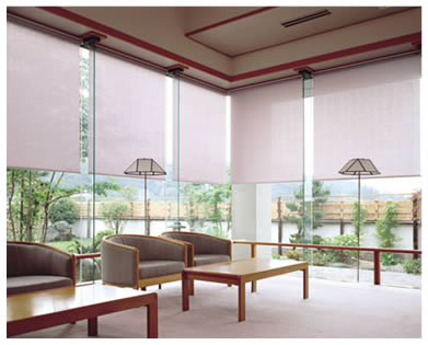 cortinas roller screen